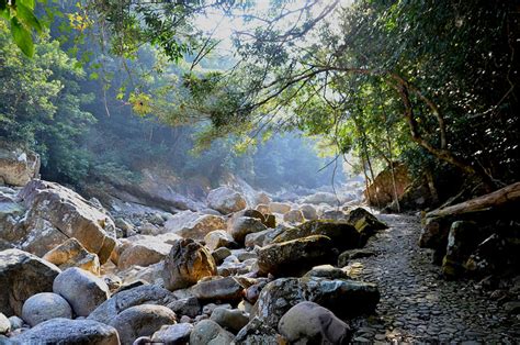 十万大山|广西十万大山国家森林公园旅游攻略